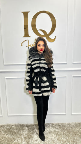 Haina blana rex-Cincilla Aria Grey