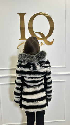 Haina blana rex-Cincilla Aria Grey