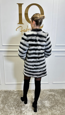 Haina blana rex-cincilla Donna Grey